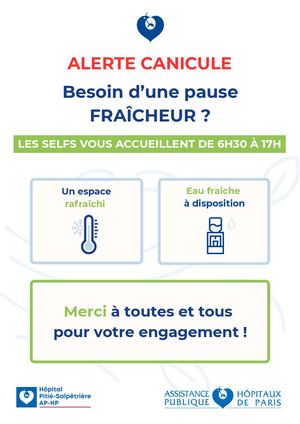 Affiche - Selfs Canicule 2026 PSL