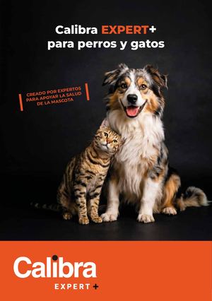 Catálogo Calibra EXPERT+ (junio 2026)