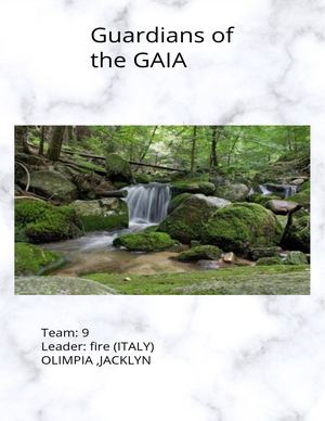 The Light Group