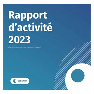 Rapport activité 2024