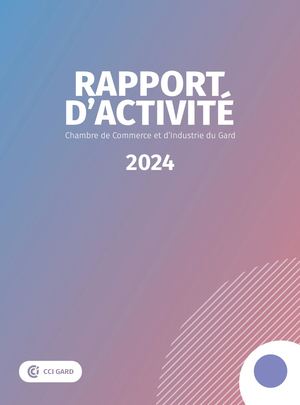 Rapport activité 2024