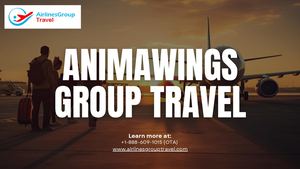 What Is Group Travel on AnimaWings?
