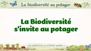 Biodiversité Au Potager