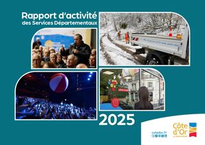 Rapport d’activité des Services Départementaux 2025