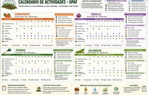Calendario Upaf,j