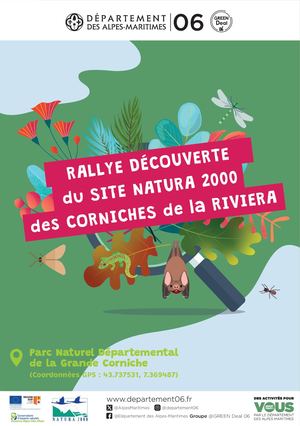 Rallye Des Corniches Web