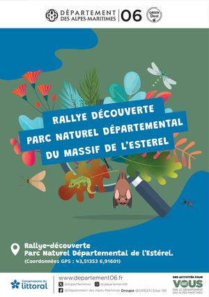 Rallye Esterel YB Web