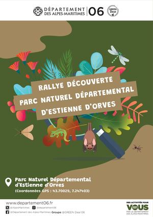 Rallye Estienne D'Orves Web