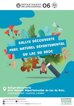 Rallye Lac Du Broc Web