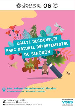 Rallye Sinodon Web
