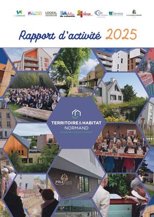 RAPPORT D'ACTIVITE T&HN 2025