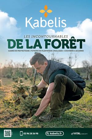 Spécial Forêt