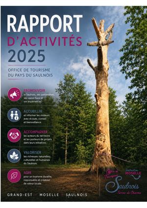 Rapport Activité 2025