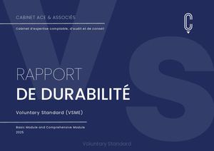 VSME (VS) Rapport de Durabilité 2025 - ACE & Associés