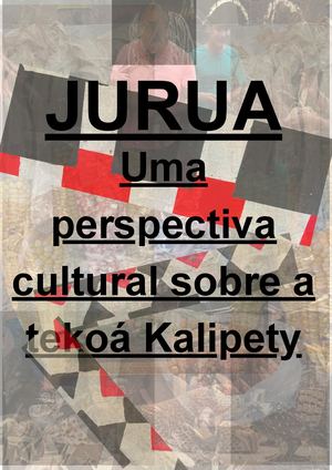 2026.1 Jurua uma perspectiva cultural sobre a aldeia Kalipety