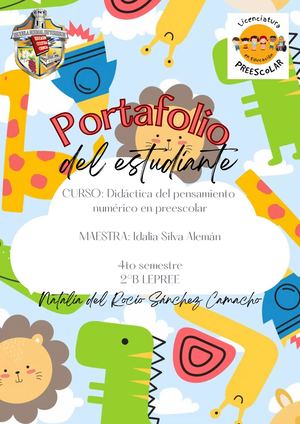 Portafolio Pensamiento Numérico