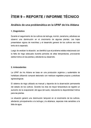 ÍTem 9 – Reporte Informe Técnico