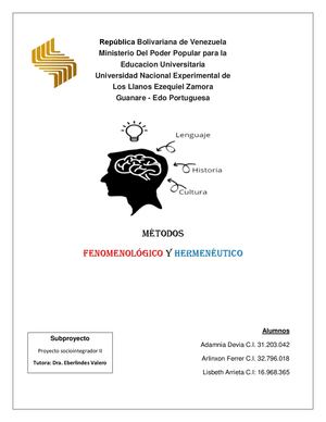 Métodos Fenomenológico y Hermenéutico (PSII Módulo II)