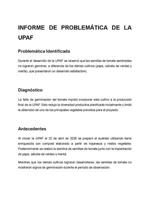 Informe De Problemática De La Upaf