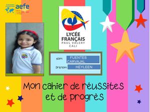 Gs Heyleen Fuentes Carvajal