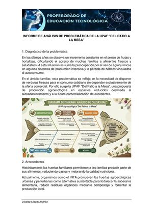 Informe De Análisis De Problemática De La Upaf