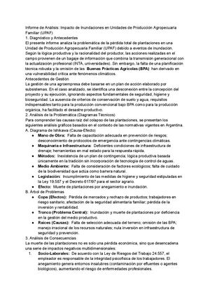 Informe De Análisis Impacto De Inundaciones En Unidades De Producción Agropecuaria Familiar (Upaf)
