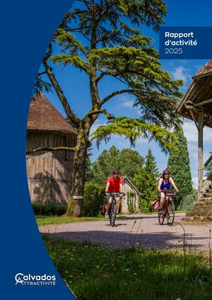 Rapport Activite 2025 Final Bd
