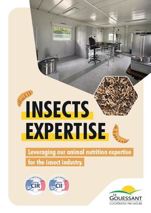 Dépliant Insectes Vdef Page A Page