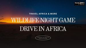 Wildlife Night Drive Africa Travel Africa & More