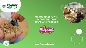 ALIPLUS DLA ZDROWEJ, ZRÓWNOWAŻONEJ I OPŁACALNEJ PRODUKCJI