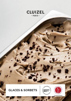 FR_Cluizel_Guide Des Glaces