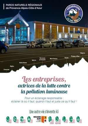 Pollution Lumineuse Entreprises Web