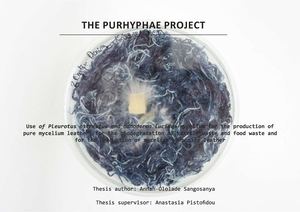 Annah-Ololade Sangosanya - The Purhyphae Project