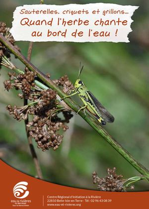 Livret | Sauterelles, criquets et grillons