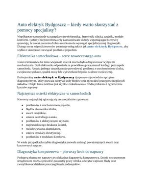 Auto Elektryk Bydgoszcz1
