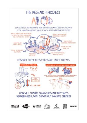 Alcid the project