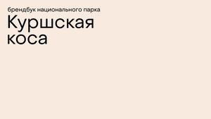 брендбук Куршской косы