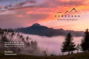 Galerie Pyréneos - Portfolio 2026