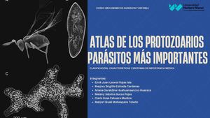 Atlas Mdad 1