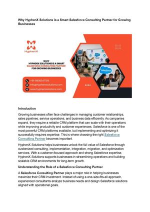 Salesforce Consulting Partner​