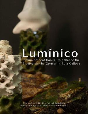 Germarilis Ruiz - Luminico