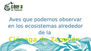 Guia Calameo V1