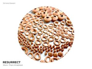 Simone Kiswani - Resurrect