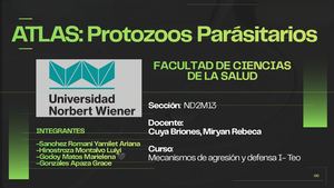 Atlas De Protozoos Parásitos "Semana 13"