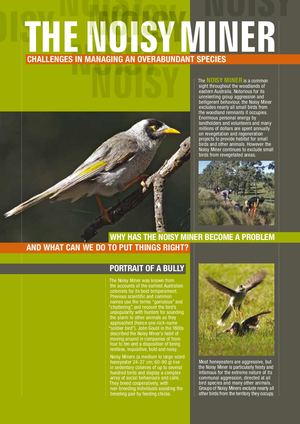 La Trobe University 2011. The Noisy Miner - Challenges In Managing An Overabundant Speciesbrochure