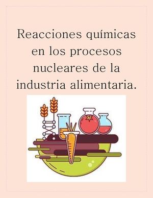 Reacciones Químicas En Los Procesos Nucleares De La Industria Alimentaria