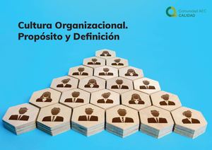 Cultura Organizacional Proposito Definicion