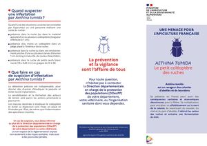 Dépliant Une Menace Pour L'apiculture Française Aethina Tumida, Le Petit Coléoptère Des Ruches (2022) (1)