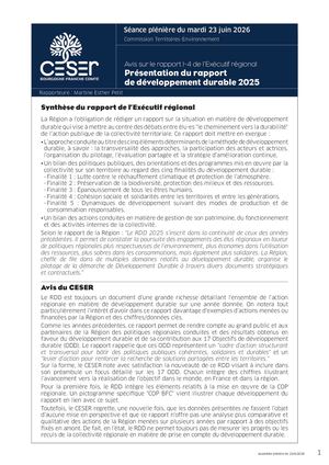 Présentation du rapport de développement durable 2025