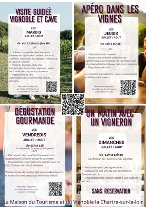 Animation Maison du tourisme & du vignoble 2026